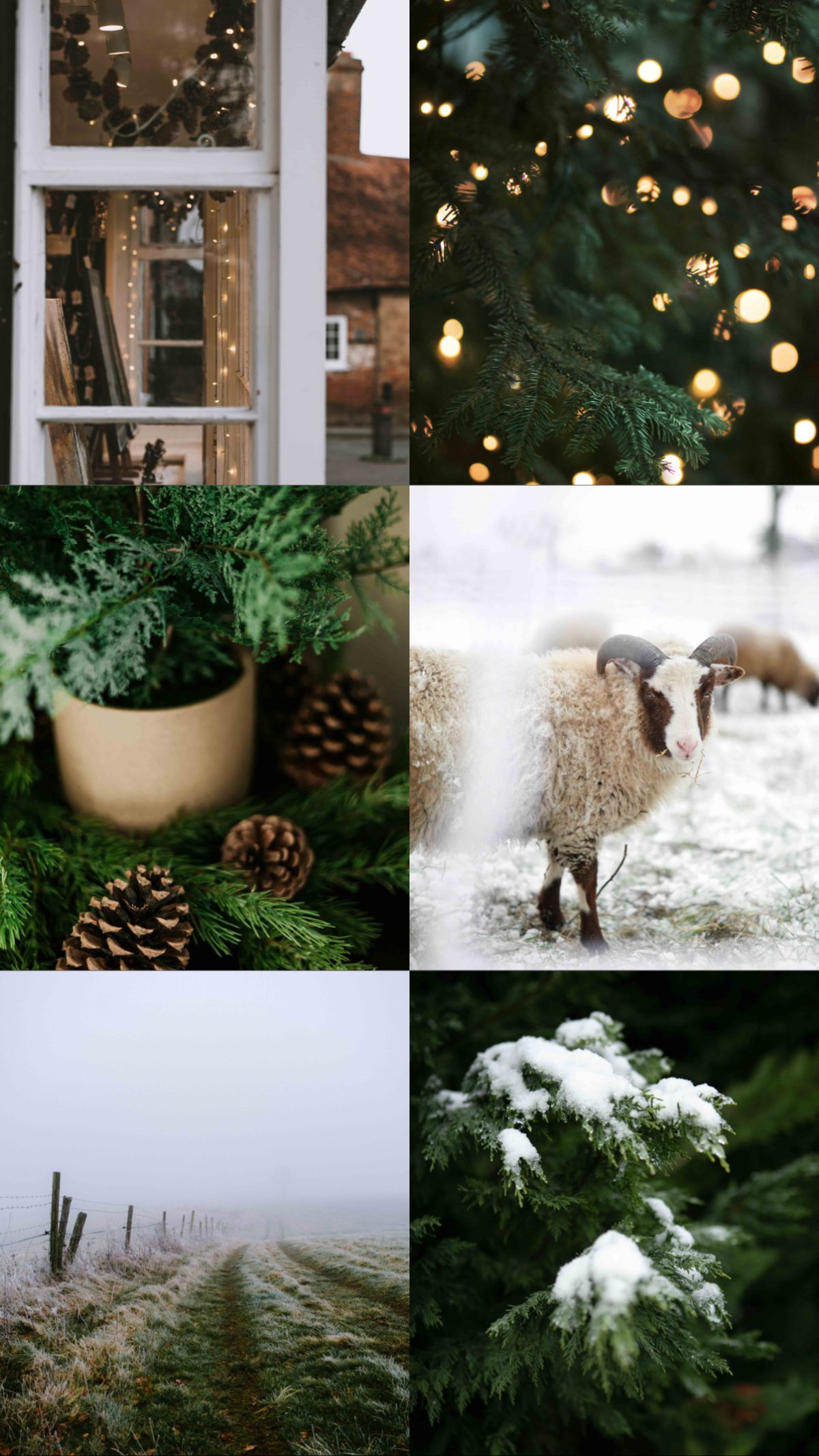 Cotswolds Winter Lightroom Filterek
